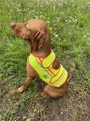 FARM-LAND Hunde Reflektorweste Warnweste Schutzweste Jagd (XL)