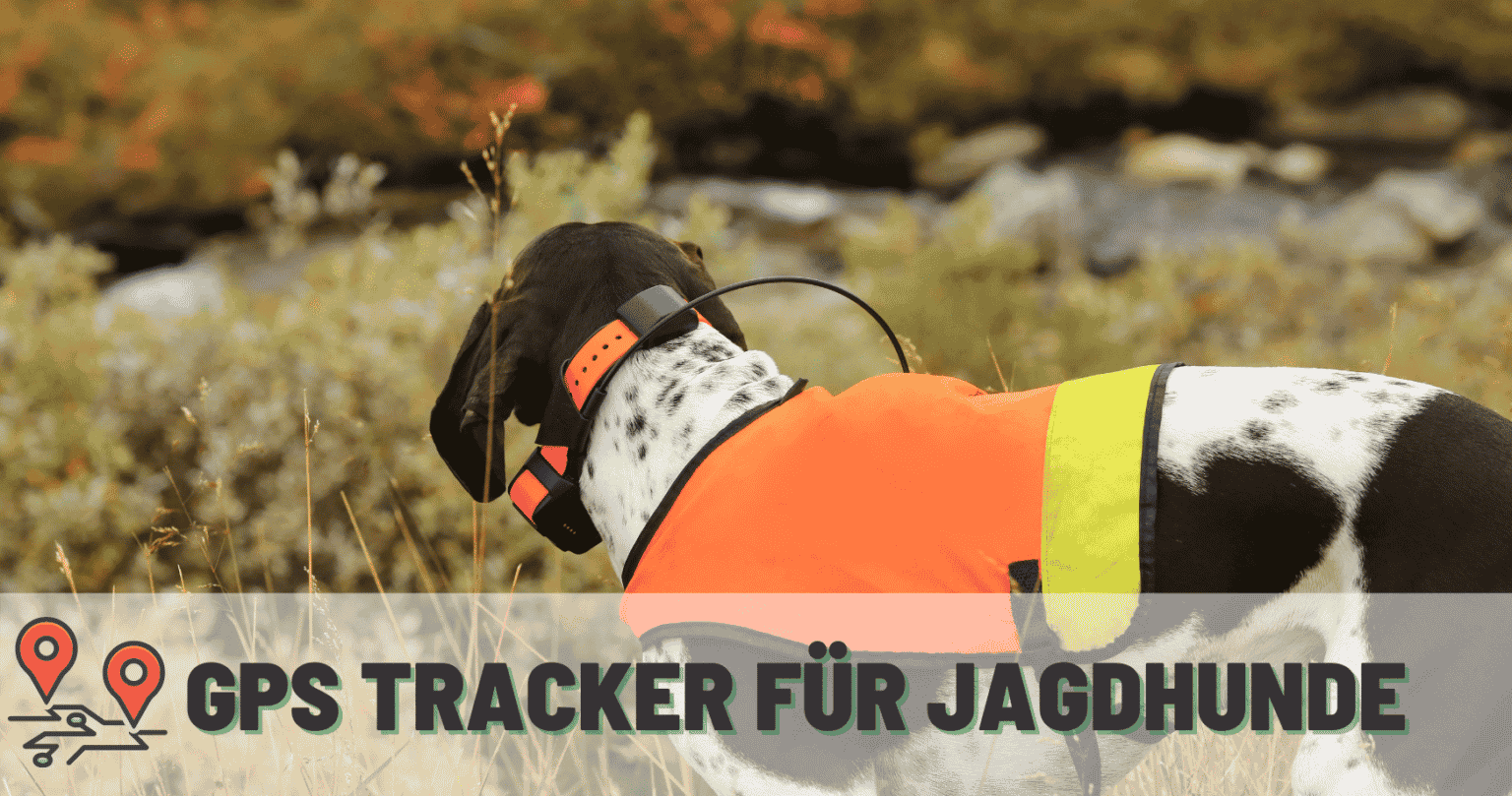 GPS Tracker für Jagdhunde Test / Review / Kaufberatung