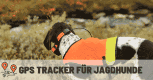 GPS Tracker für Hunde